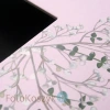 Album Panodia Story Flora (tradycyjny 60 czarnych stron)