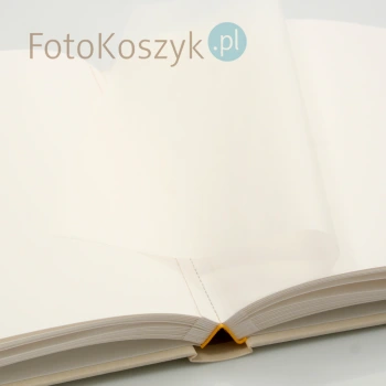 Album Goldbuch Style (tradycyjne 60 białych stron)