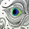 Album wsuwany Peacock Biały (304 zdjęcia 10x15)
