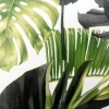 Album wsuwany Monstera Jasny (304 zdjęcia 10x15)
