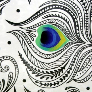 Album wsuwany Peacock Biały (304 zdjęcia 10x15)