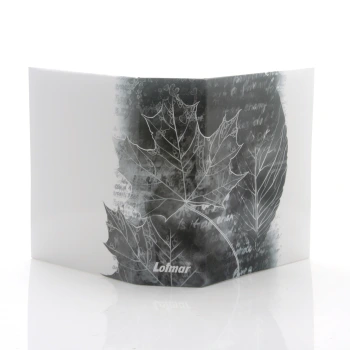 Album wsuwany Tree 2 (304 zdjęcia 10x15)