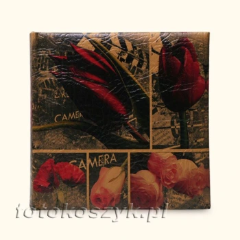 Album Art-26 (200 zdjęć 10x15)