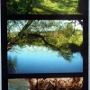 Album wsuwany Assort las (50 zdjeć 10x15)