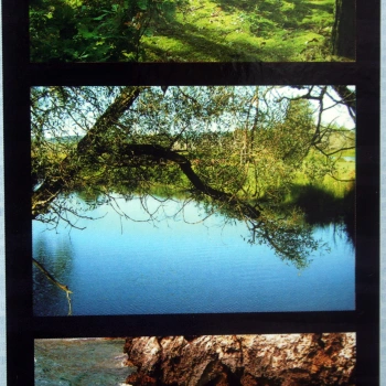 Album wsuwany Assort las (50 zdjeć 10x15)