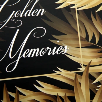 Album wsuwany Poldom Assort Golden czarne karty (600 zdjęć 10x15)