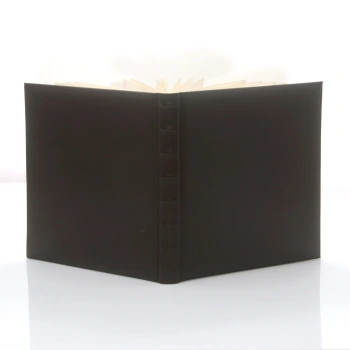 Album Luxy Ciemny XL Box (tradycyjny 40 kremowych stron)