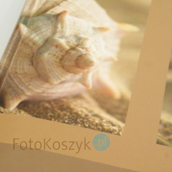 Album Henzo Back to Nature Brąz XL (tradycyjny 100 białych stron)