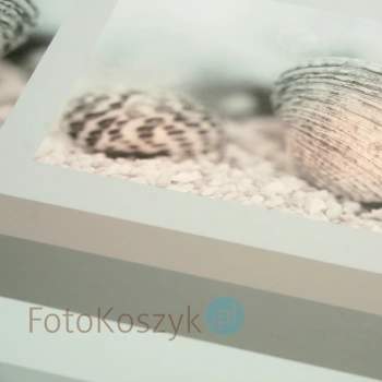Album Henzo Back to Nature Zielony XL (tradycyjny 100 białych stron)