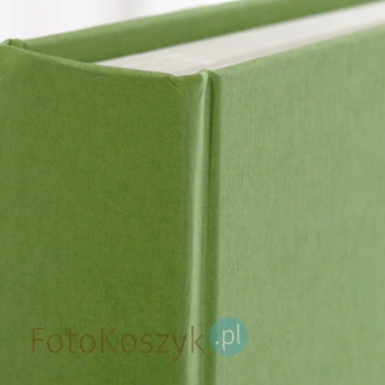 Album Goldbuch Colore zielony (tradycyjny 60 kremowych stron)