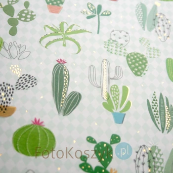 Album Goldbuch Cactus (tradycyjny 60 kremowych stron)