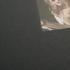 Album Goldbuch Chromo Antracyt (tradycyjny 100 czarnych stron)