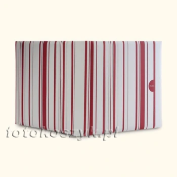 Album Color Stripes Jasny (tradycyjny 100 białych stron)