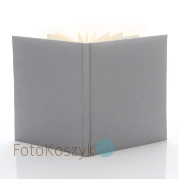 Album wklejany Clean Silver (tradycyjny 40 kremowych stron)