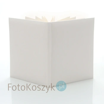 Album wklejany Clean White (tradycyjny 40 kremowych stron)