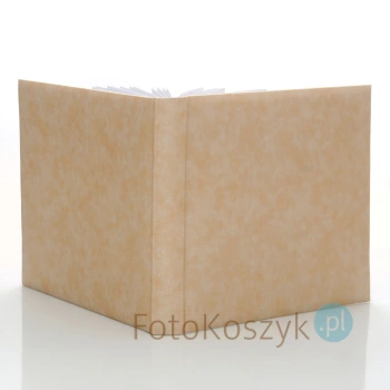 Album wklejany Promise Gold XL (tradycyjny 100 czarnych stron)