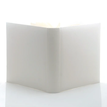 Album ślubny Gedeon Clean White XL (tradycyjny 100 kremowych stron)