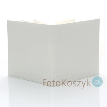 Album Dover mały Zep (tradycyjny 40 kremowych stron)