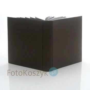 Album wklejany z czarną kartą Fun duży brąz (100 stron)