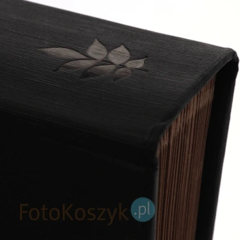 Album Panodia Greenearth 5 czarny (tradycyjny 100 brązowych stron)