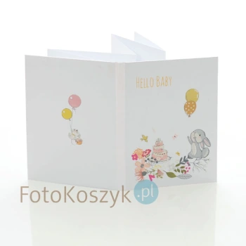 Albumik harmonijka Hallo baby na 10 zdjęć 15x21 z płytą DVD