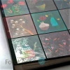 Album Izou Flowers (100 zdjęć 10x15cm)