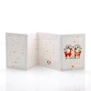 Mini-Album TS Jelonki zestaw: 4 zdjęcia 15x21