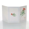 Mini-Album TS jemioła na trzy zdjęcia 15x21