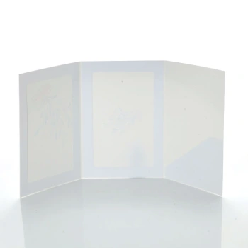 Mini-Album TS jemioła  zestaw: 2 zdjęcia 15x23 plus zakładka