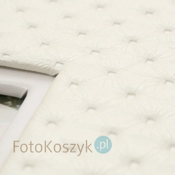 Album wklejany Karina XL (tradycyjny 60 kremowych stron)