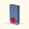 Dwupak Fotoklej Henzo (100 ml + 100ml)