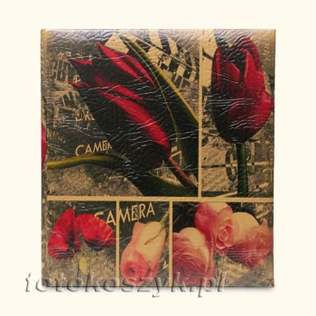 Album Gedeon Art-27 XL (tradycyjny 60 białych stron)