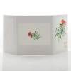 Mini-Album TS jemioła zestaw: 2 zdjęcia 15x21 plus zakładka