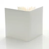 Album wklejany Gedeon White (tradycyjny 60 kremowych stron)
