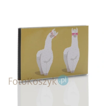 Album Walther lamy żółty (40 zdjęć 10x15)