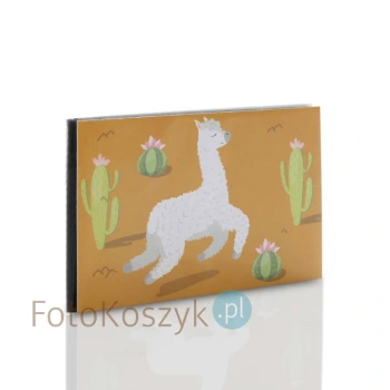 Album Walther lamy pomarańczowy (40 zdjęć 10x15)