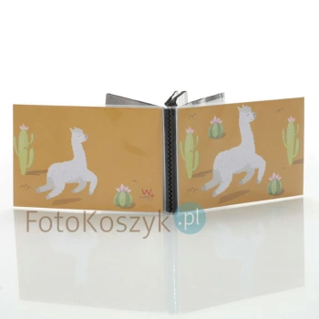 Album Walther lamy pomarańczowy (40 zdjęć 10x15)