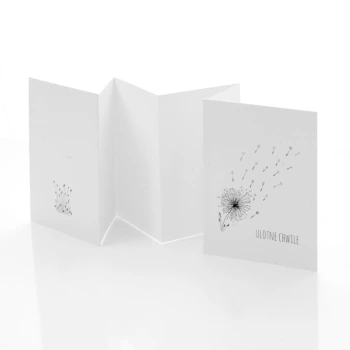 Album TS Leporello 13x18 dmuchawce B&W (5 białych kart)