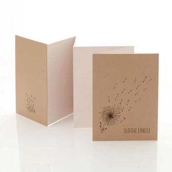 Album TS Leporello 13x18 dmuchawce B&W kraft (5 kolorowych kart)