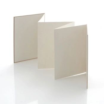 Album TS Leporello 15x23 Nasz Ślub kraft (5 kolorowych kart)