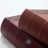 Album Gedeon Luxury J (300 zdjęć 10x15)