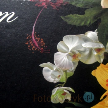 Album Magic Flower XL (tradycyjny 100 czarnych stron)