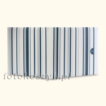 Album Color Stripes N (tradycyjny 100 białych stron)