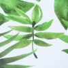 Album kieszeniowy New Green (600 zdjeć 10x15)
