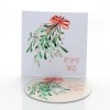 Obwoluta świąteczna TS jemioła (na płytę CD/DVD)
