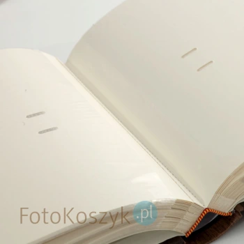 Album Lotmar Omega brąz napis (300 zdjęć 10x15)