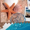Album wsuwany plaża (304 zdjęcia 10x15)