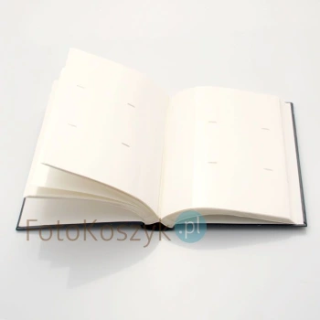 Album wsuwany Gedeon Leaf Z (300 zdjęć 10x15)