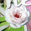 Duży album na zdjęcia wsuwane Blossom (500 zdjęć 10x15)