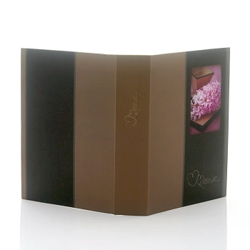 Album wsuwany Gedeon Secret Brąz (200 zdjęć 10x15)